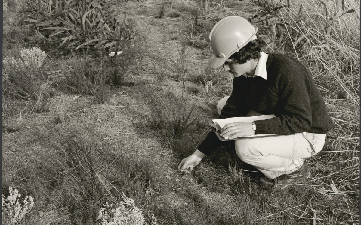 man studying some plants