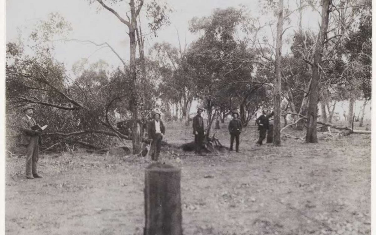 Black and white photo of 5 men, one with an axe, standing in a cleared area with a stump of a tree in the foreground, a few felled trees behind them and several trees still standing. The date in handwriting is written at the top 21-7-1913.
