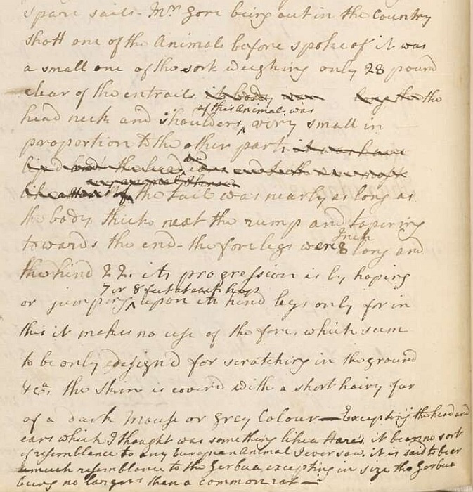 Page from James Cook's Endeavour journal