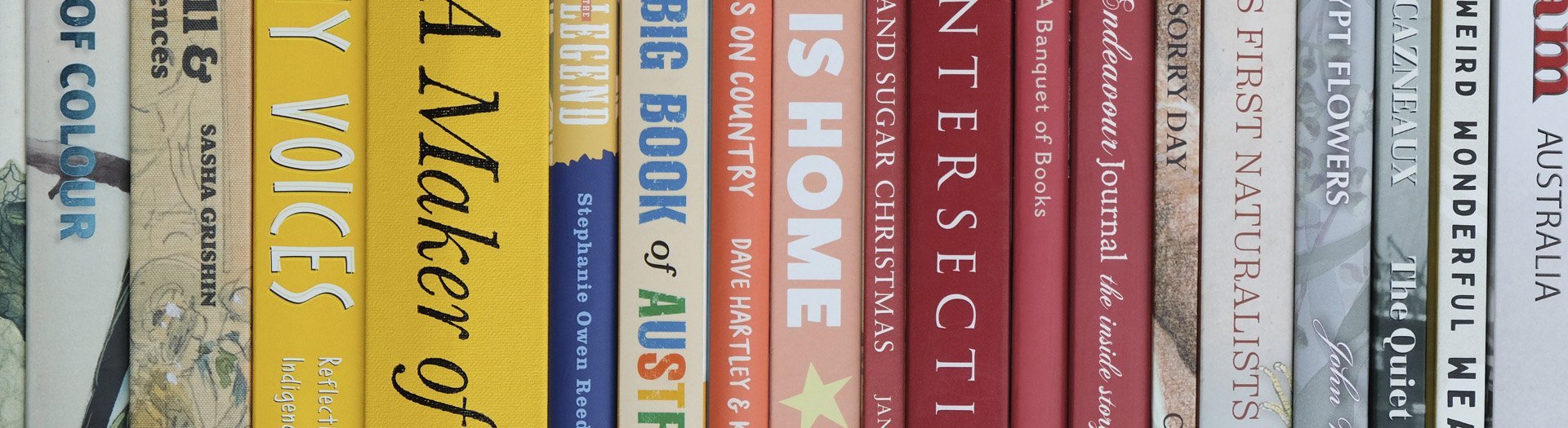 Multicoloured spines of vertical books