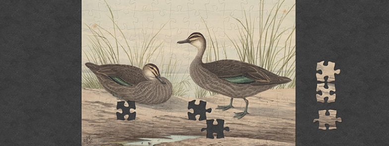 An almost complete jigsaw puzzle featuring an image of ducks