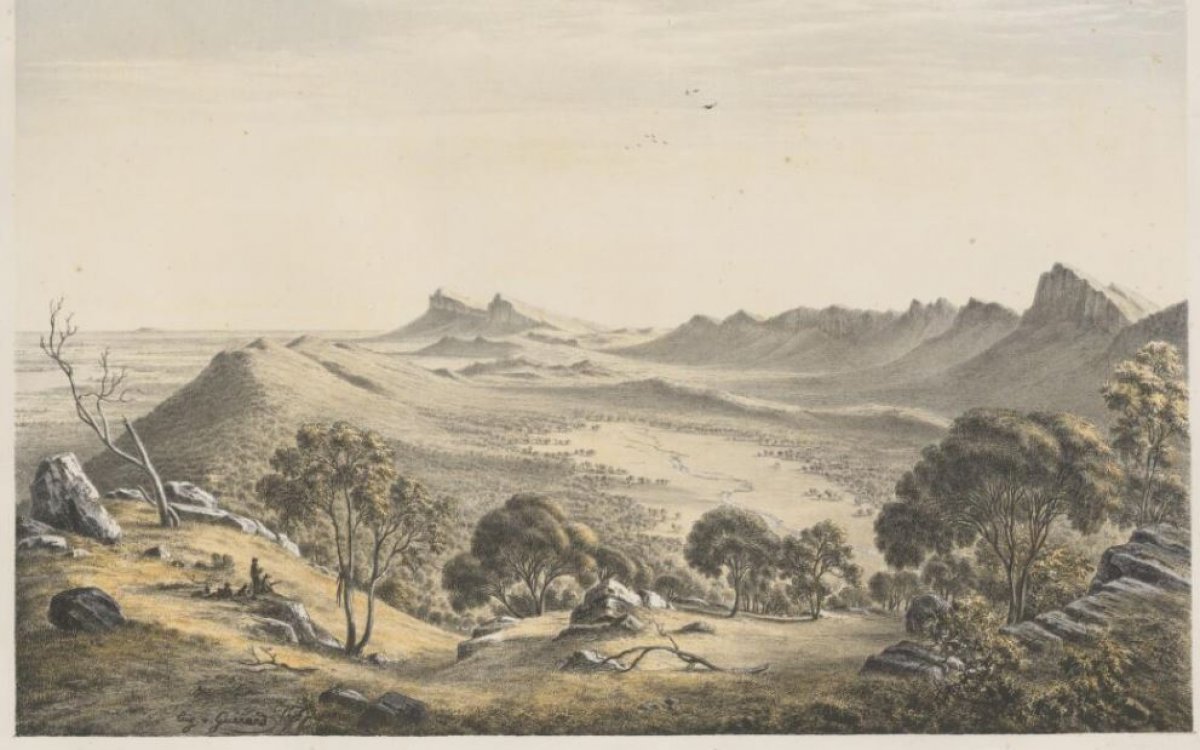 painting of Australian bush landscape