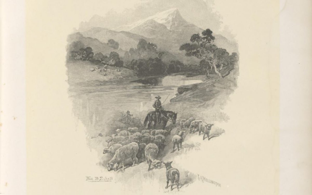 black and white illustration of a farmer leading sheep