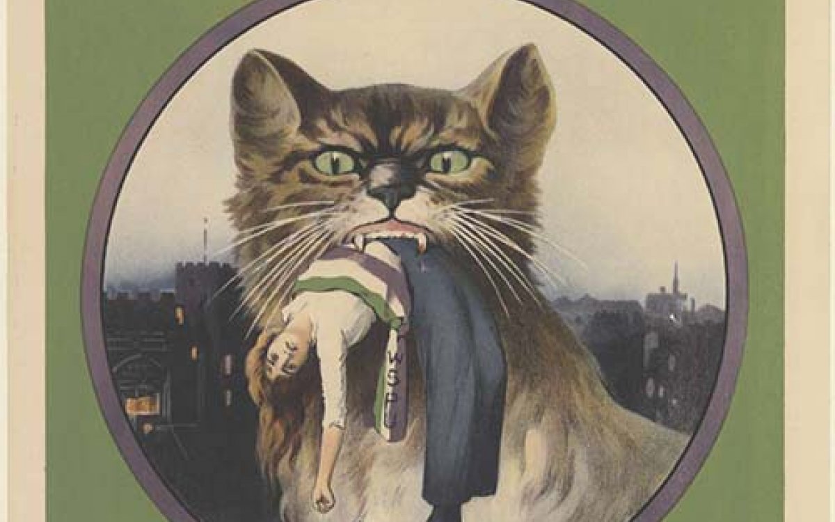 A poster titled "THE CAT AND MOUSE ACT". The poster has a large image of a cat with a woman wearing a suffrage sash in its mouth