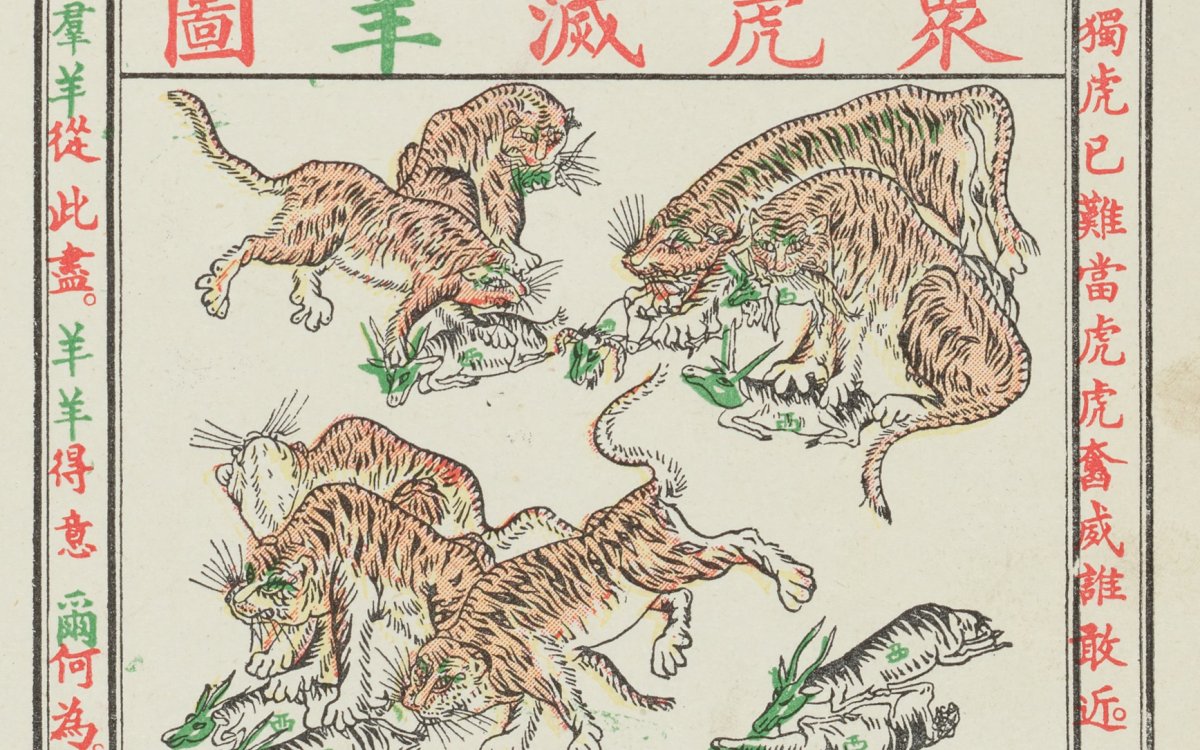 illustration of tigers hunting goats