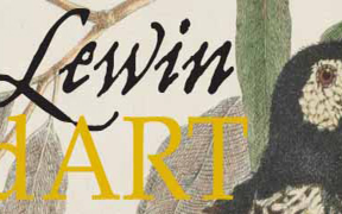 Lewin: Wild Art banner