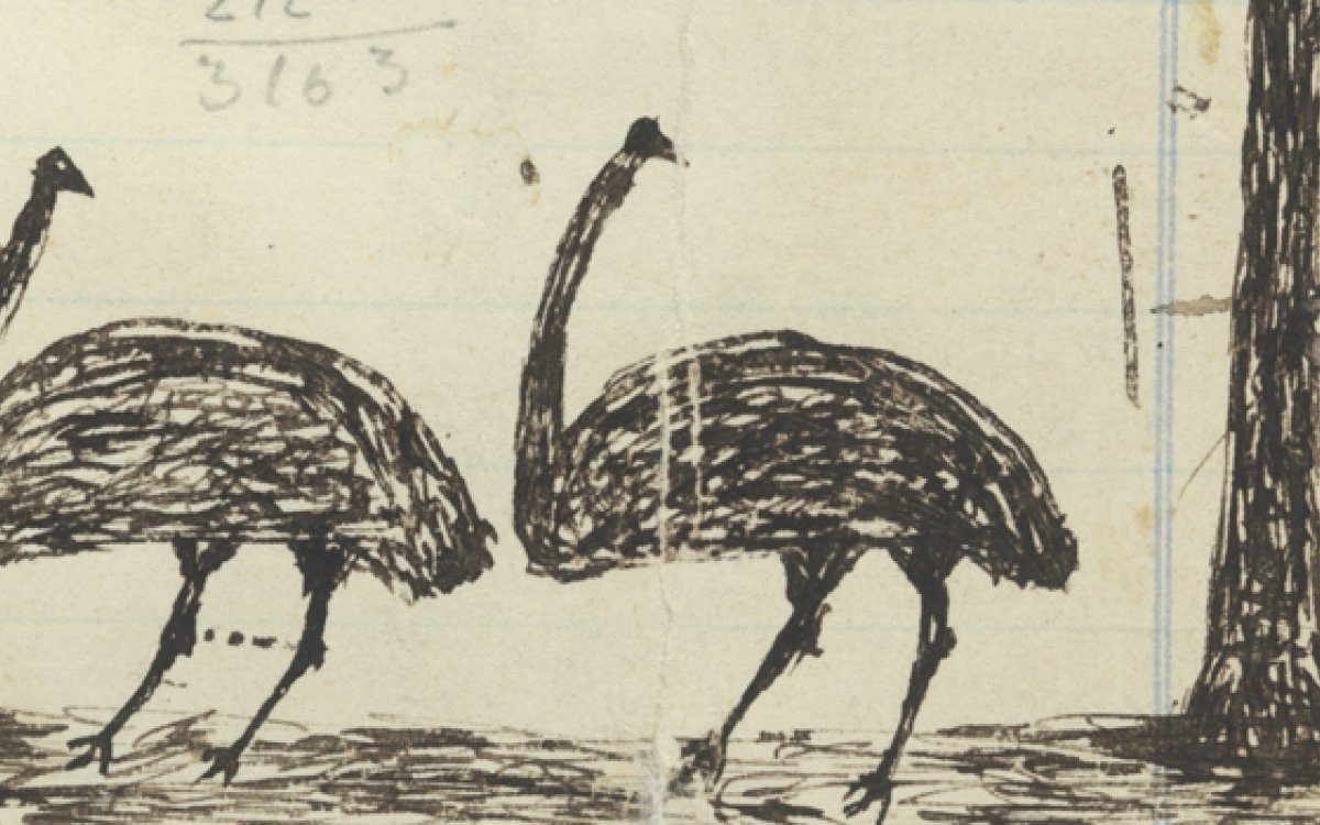 Pen and ink drawing of hunting emus