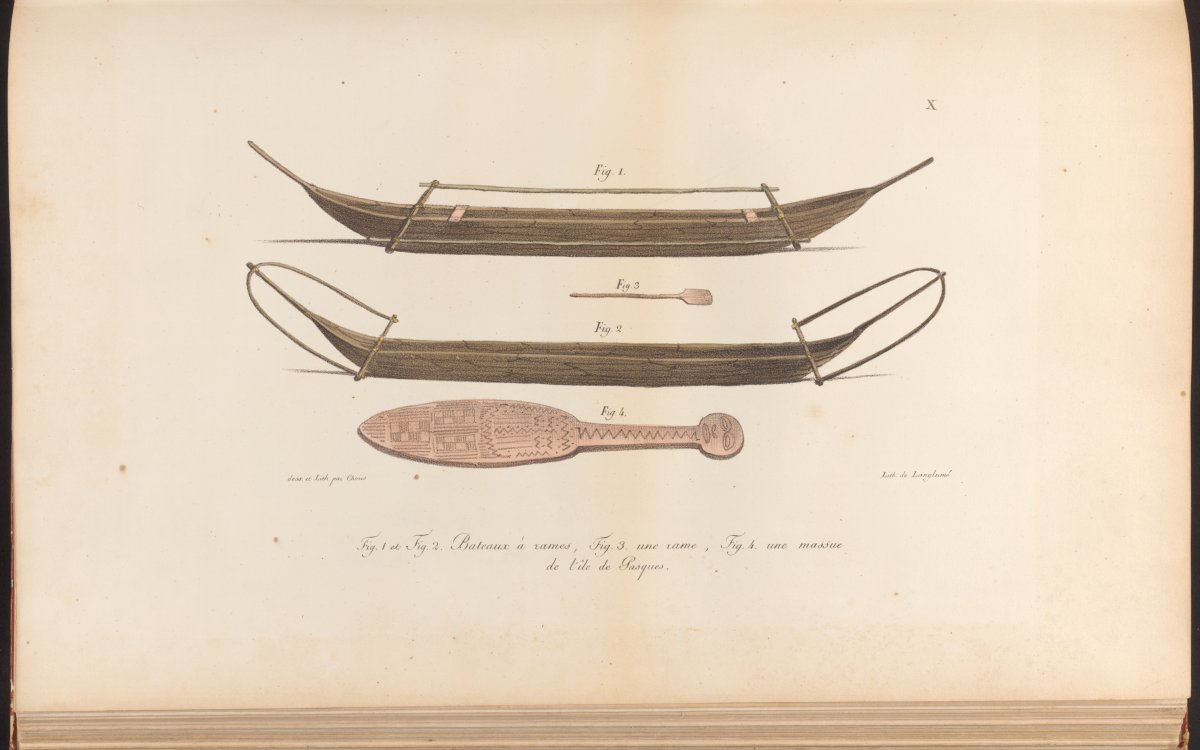 A watercolour image of two canoes and two types of oars/paddles
