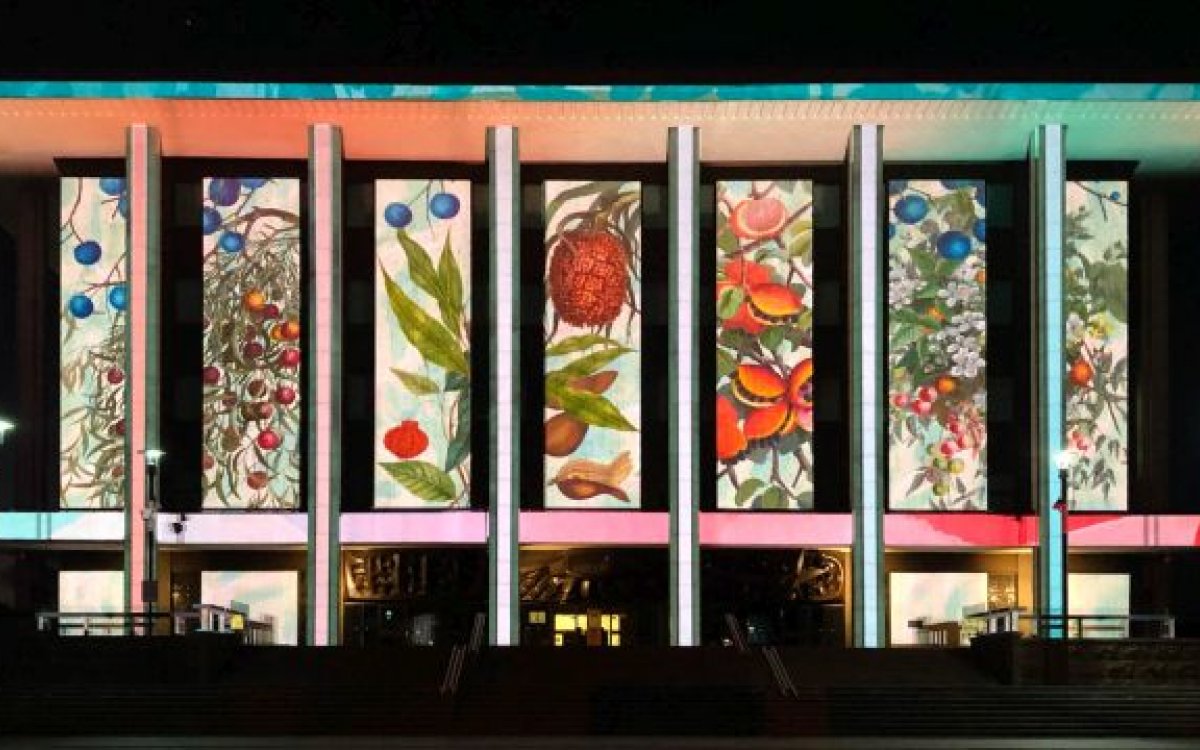 Projection of fruit illustrations onto the library building.