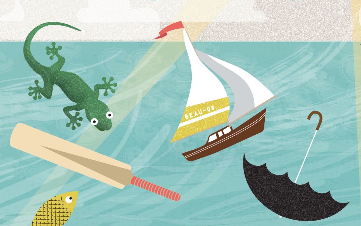 An illustration of a lizard, a boat, an umbrella, a cricket bat and a fish on a blue and cream background