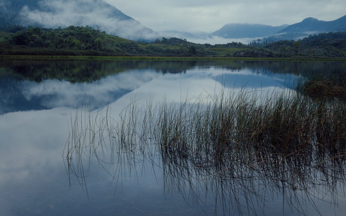 A landscape of a mountain lake scene. Misty mountains are visible in the background and are reflected in the still lake. Lake grass grows out of the lake in the foreground