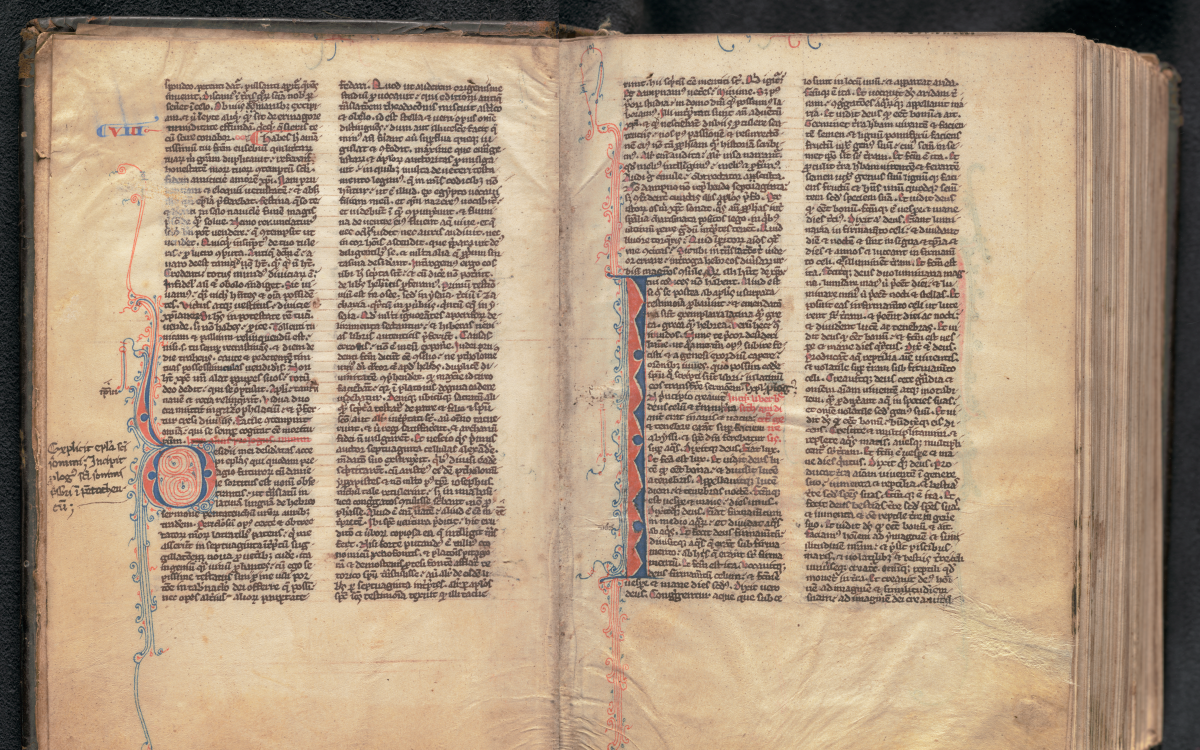 A composite image of two richly decorated handwritten pages from an old bible. It is written in Latin. The text is in black ink. In the margins of the page are blue and red decorations
