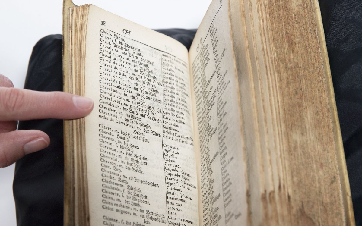 An old rare dictionary opened up to a spread with a long list of words.