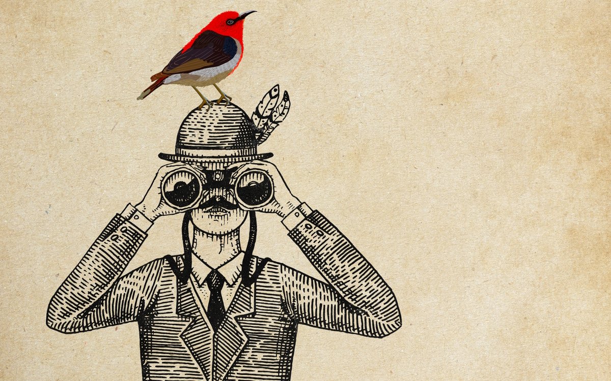 A section of the 'What Birdo is That?' cover showing an illustration of a person in a bowler hat holding binoculars up to their eyes. A red bird sits on their hat.