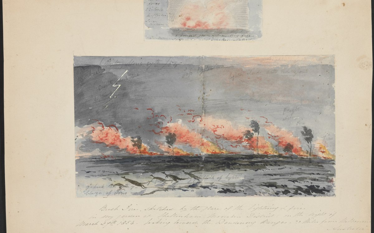 A watercolour painting of several pockets of bushfires being blown by the wind with several kangaroos trying to escape them.
