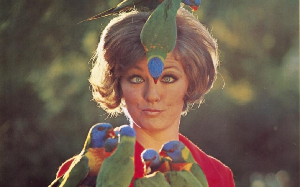 A woman in a red shirt who has two lorikeets sitting on her heard, and 7 perched in front of her.