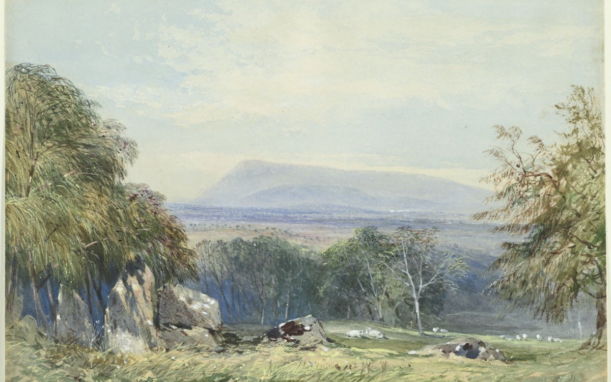 A watercolour landscape showing grass, rocks, scattered sheep and tress in the foreground, with plains and a large  gently sloping mountain range in the background.