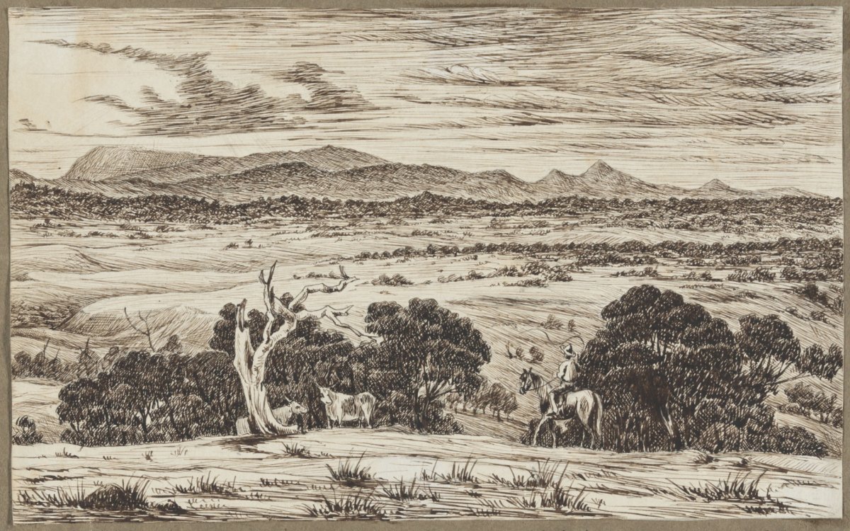 A pen and ink drawing of a man in a hat on horse back in the foreground with several large gum trees, and plains then a large  gently sloping mountain range in the background.