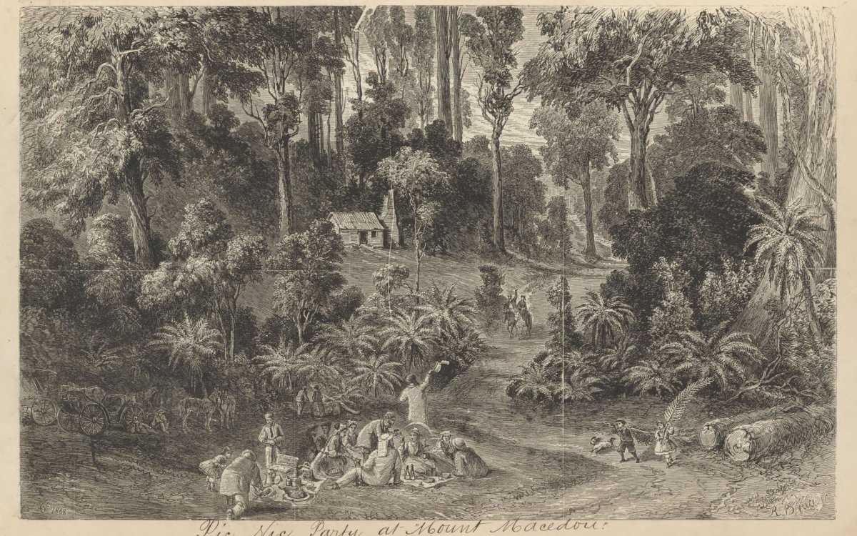 A black and sepia toned wood engraving of a large fmaily having a picnic surrounded by bush and low palm trees, taller trees and a small house in the background.