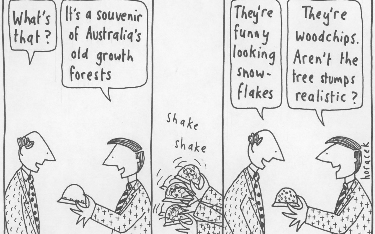 A cartoon series of 3 drawings 1. Two men are looking at a snow globe in one of the men's hands. One asks 'What's that?' The other says 'It's a souvenir of Australia's old growth forests'. 2. A hand is shaking the snow globe, with the words 'shake, shake. shake' 3. The first man says 'They're funny looking snow-flakes', the other says 'They're woodchips. Aren't the tree stumps realistic?'.