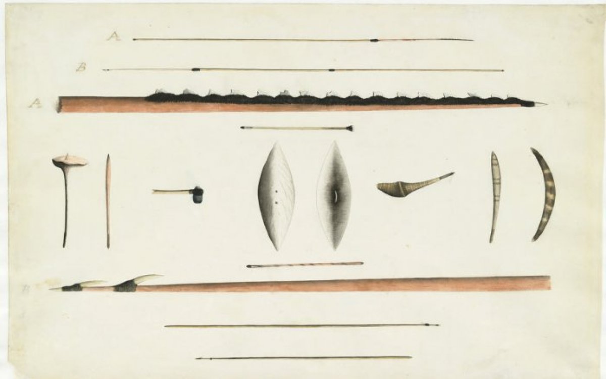 Painting of various items of Indigenous weaponry a yilimung (shield), a ngalangala (club), a mugu or mo-go (stone hatchet) and a boomerang