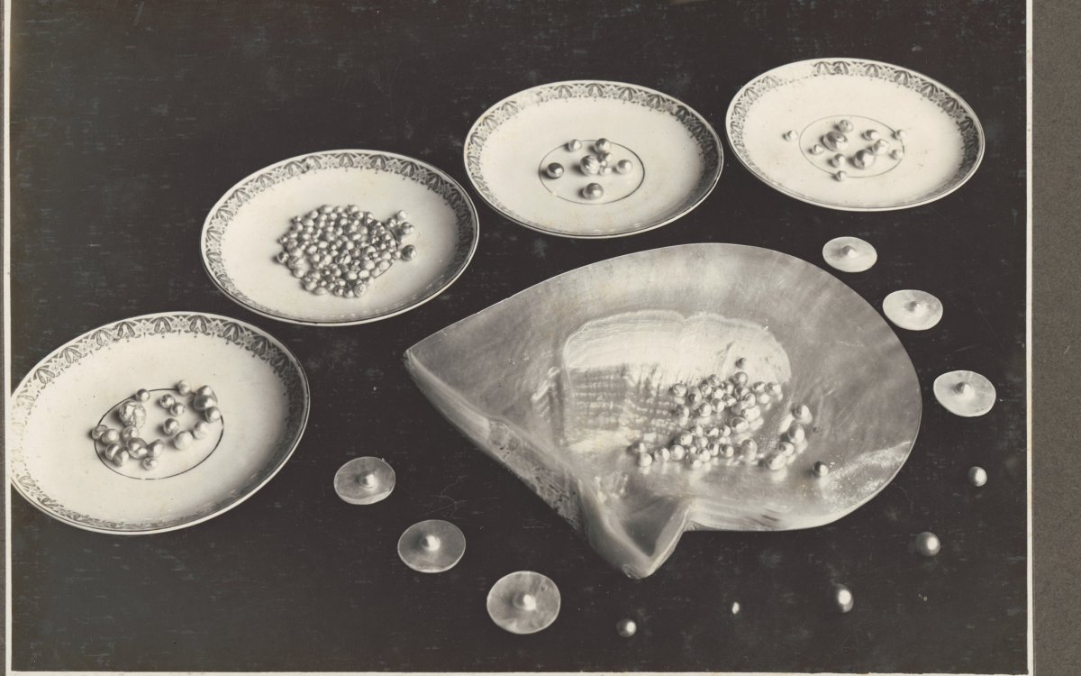 black and white photograph of pearl sorting into plates