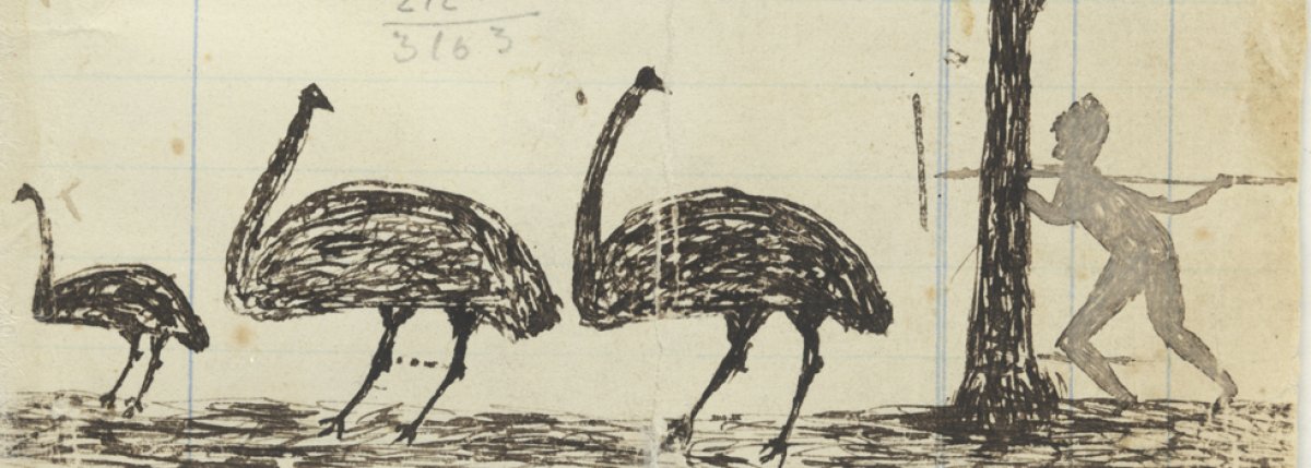 Pen and ink drawing of hunting emus