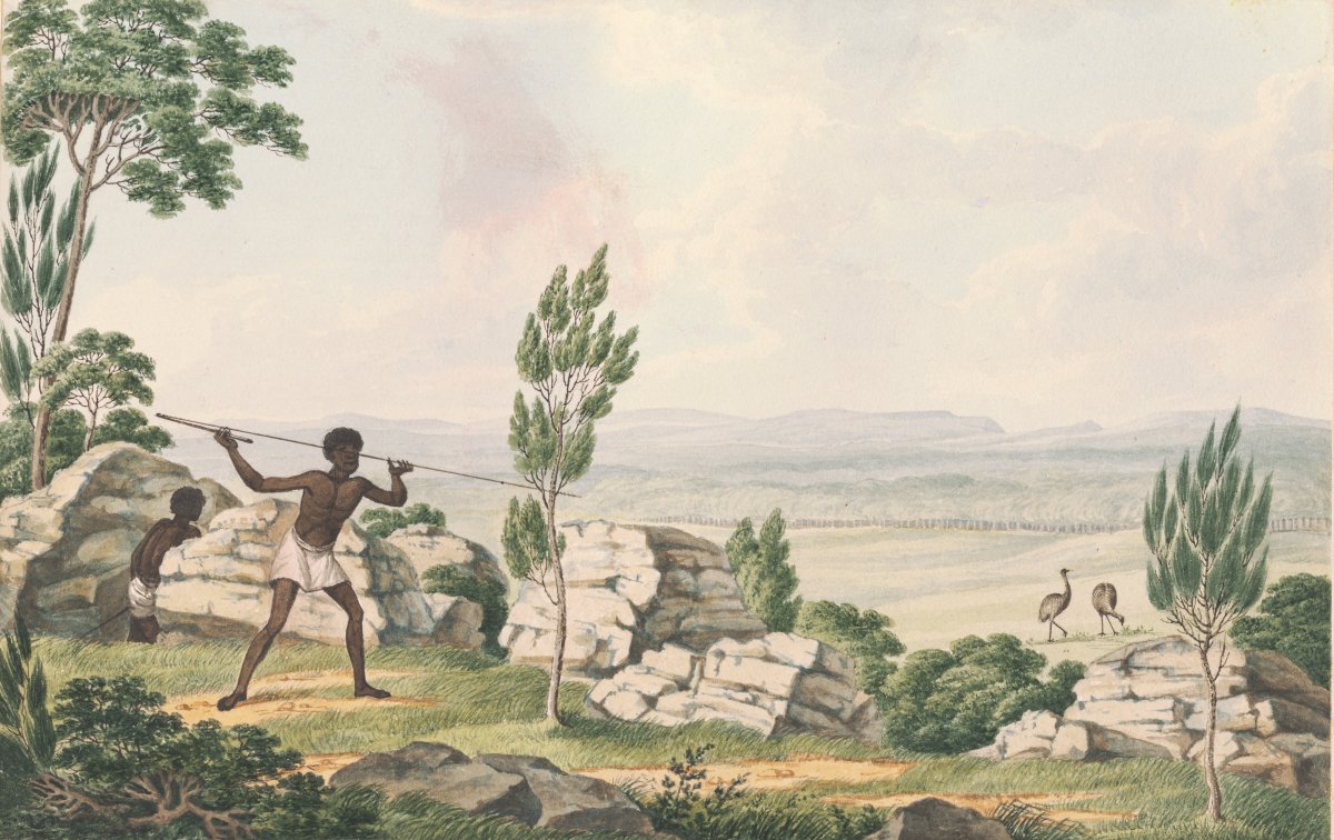 A watercolour image showing a man in a white loincloth standing on a cliff side. He is holding a long hunting spear. Another man hides behind a large rock. The men are stalking two emus which are feeding in the distance.