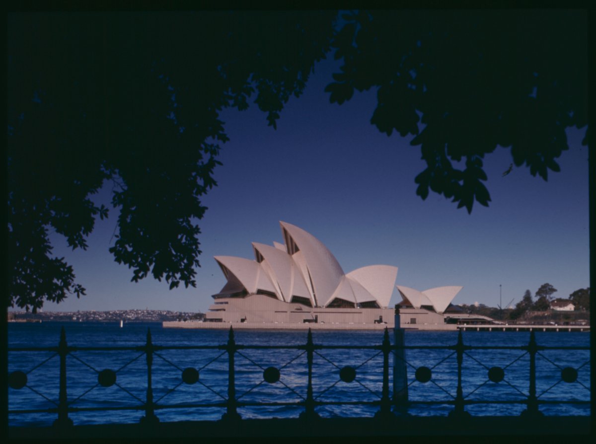 A photograph of the Sydney Opera House during the day. The Opera House is framed by the hanging branches of a large tree. In the foreground is a wrought iron fence.