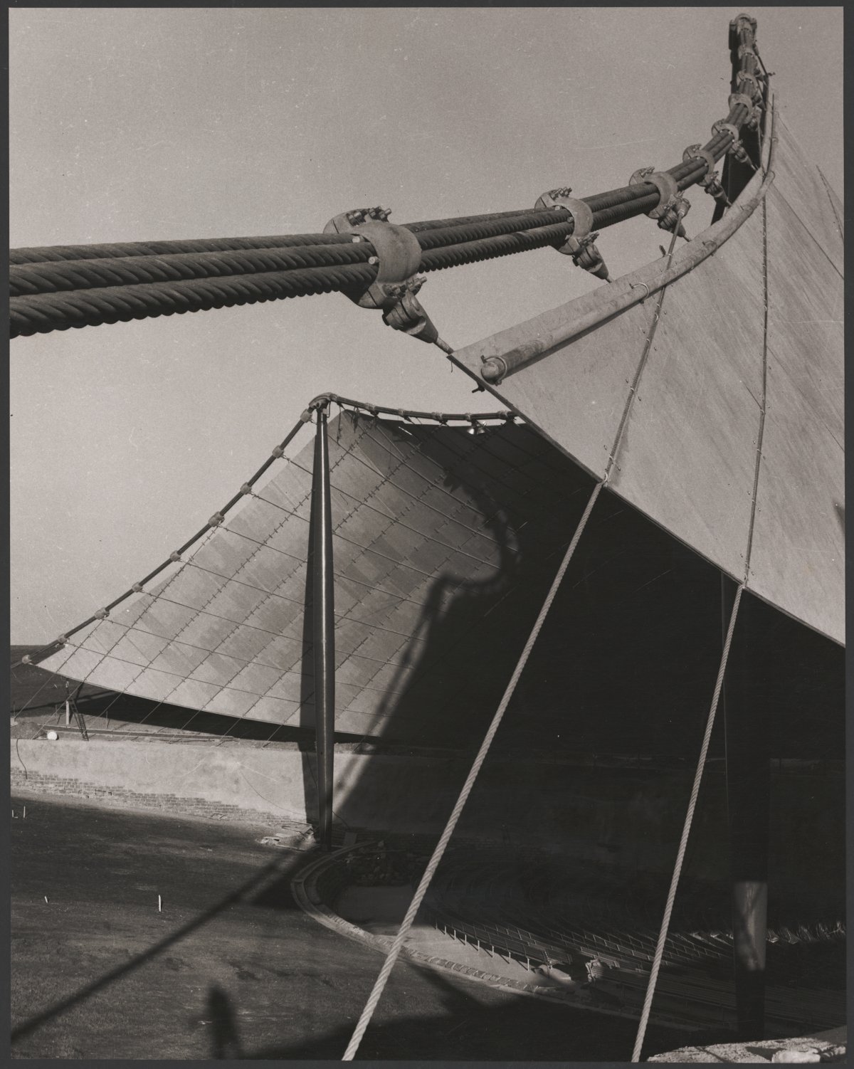 An abstract photograph of the Sidney Myer Music Bowl showing the steel cable supports holding up the sail like roof