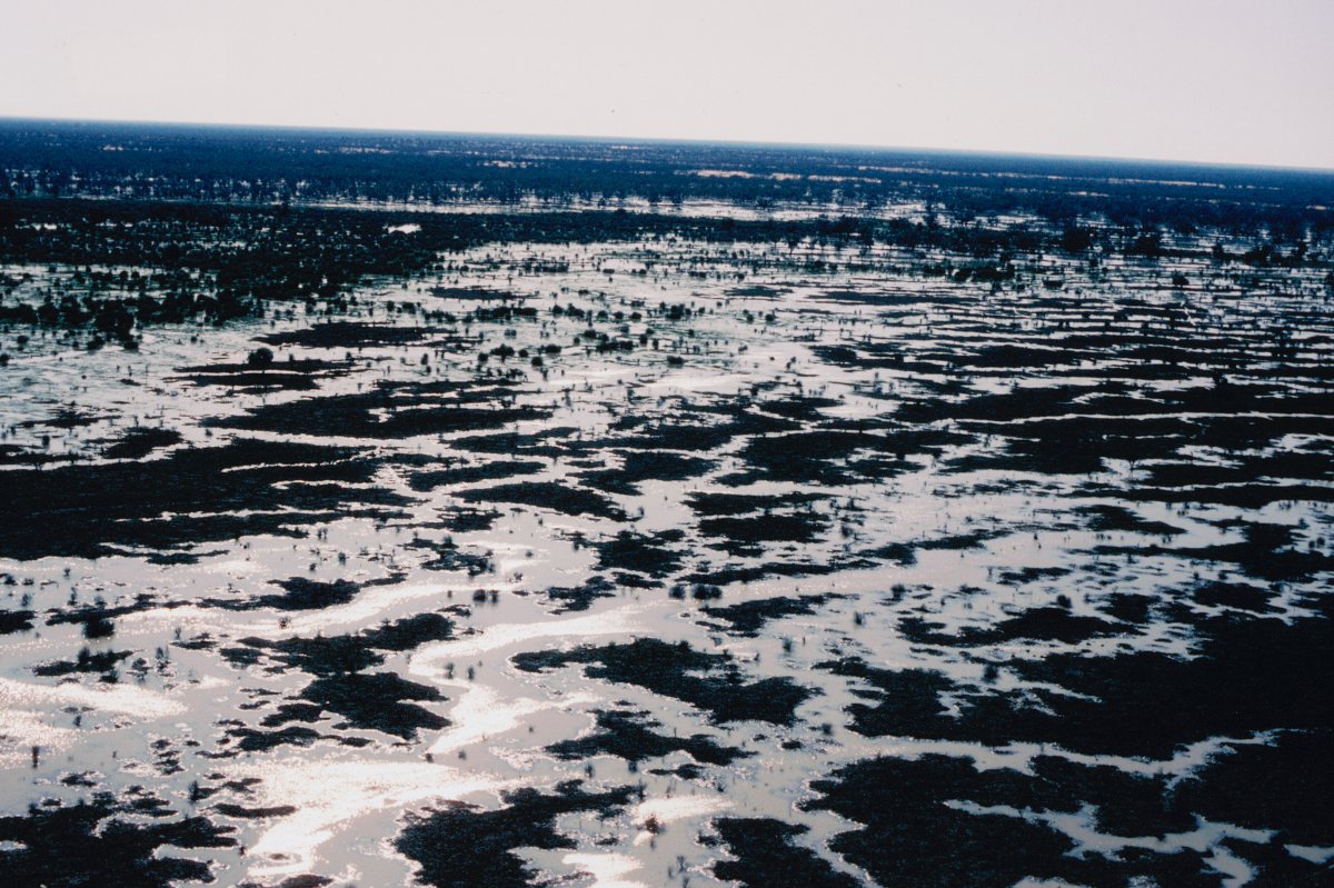 A high arial shot of a flooded landscape. Creeks and rivers have ofter flowed.
