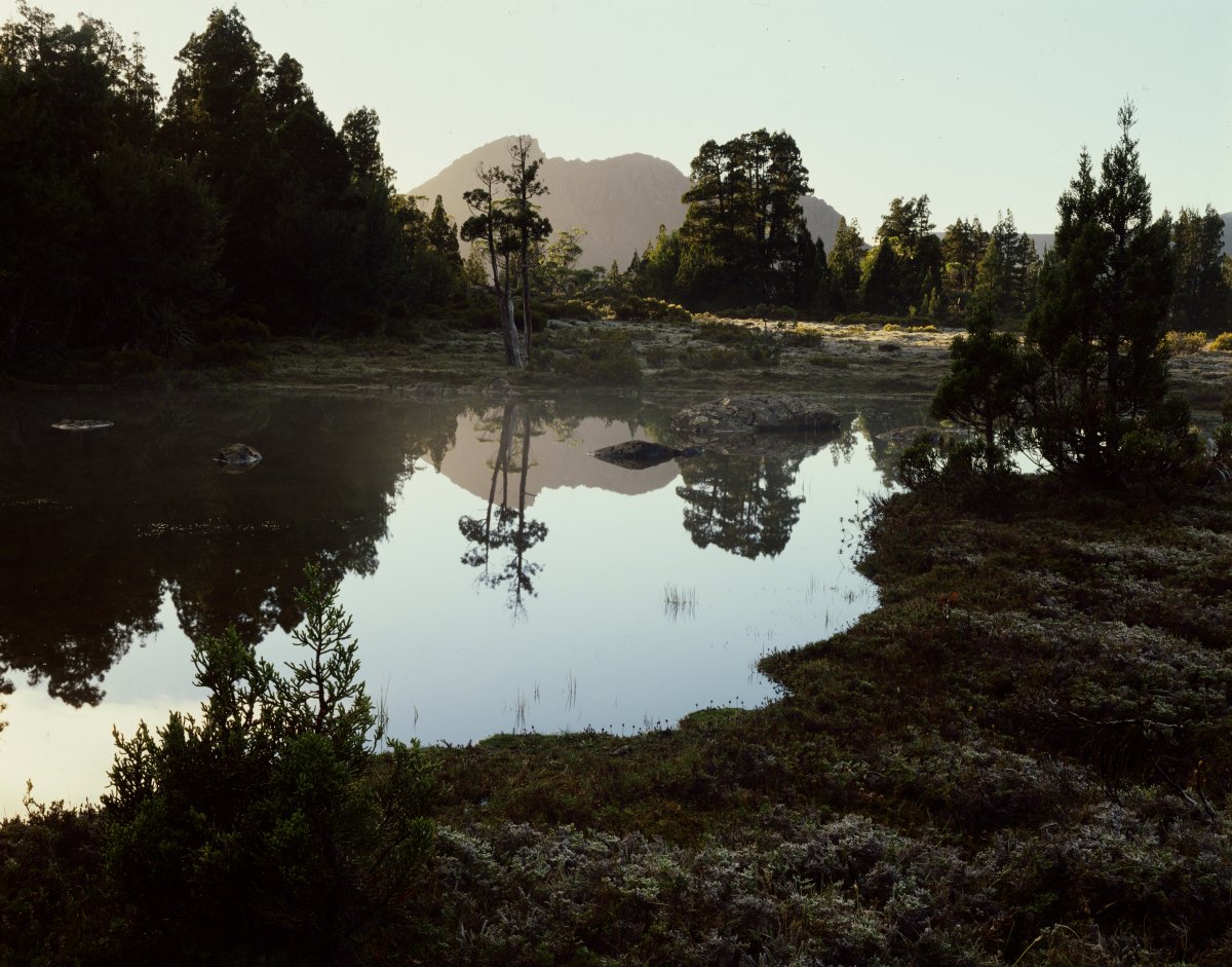 A landscape photograph of a marshy lake area. A mountain can be seen in the mist in the background. The trees and mountain are reflected in the still water of the lake.