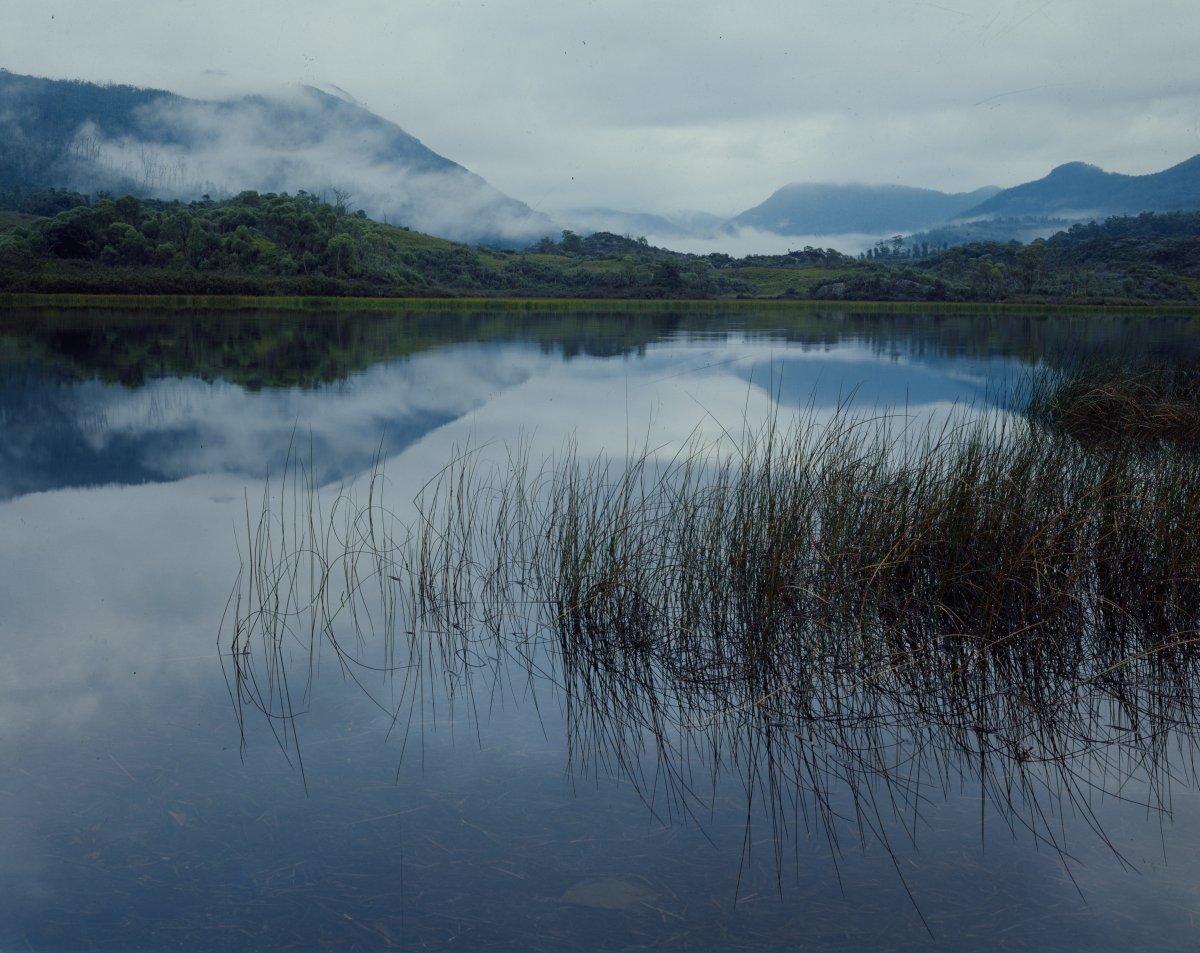 A landscape of a mountain lake scene. Misty mountains are visible in the background and are reflected in the still lake. Lake grass grows out of the lake in the foreground