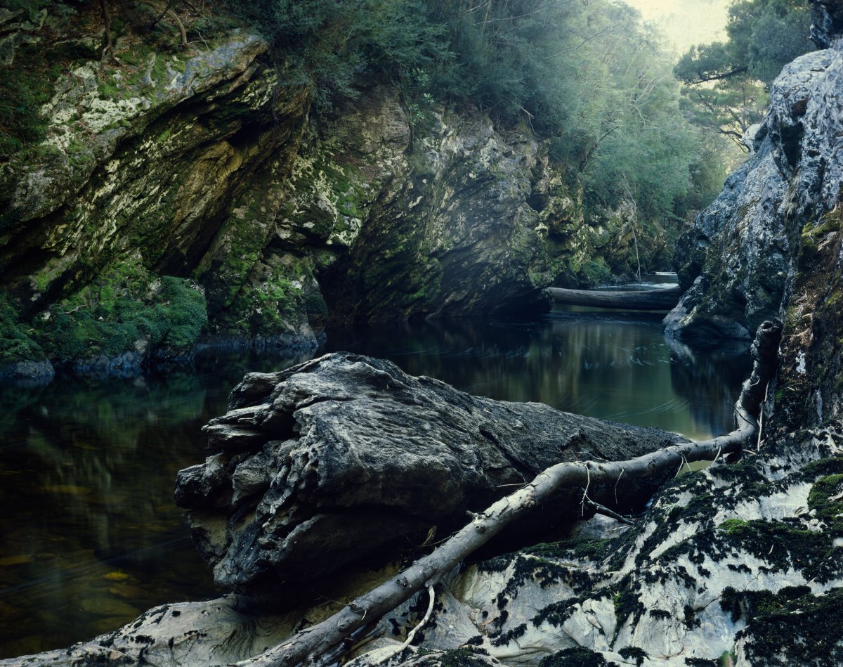 A scene of a river gorge. A still river winds between rocky cliffs. The cliffs are topped with foliage. There is a large dead tree trunk and branches washed up against a bank.