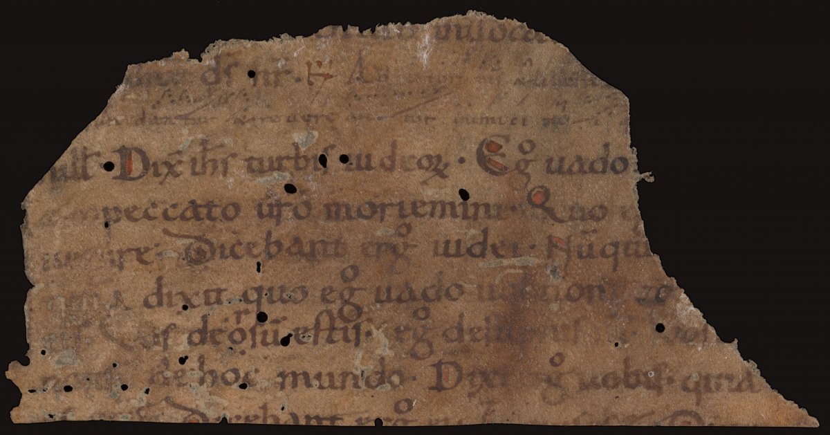 A tiny fragment of a very old document. The handwriting is almost illegible. It is written in Latin. Some text is highlighted in red. Small musical notes can be seen at the top of the document.
