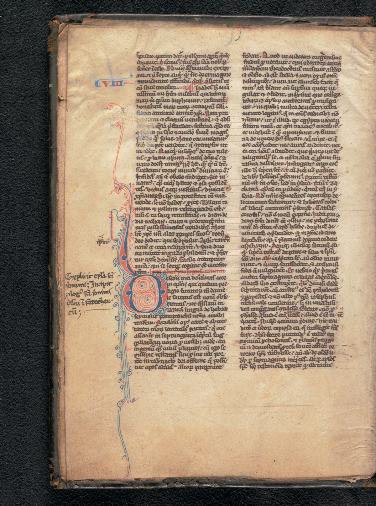 A richly decorated handwritten page from an old bible. It is written in Latin. The text is in black ink. In the margins of the page are blue and red decorations