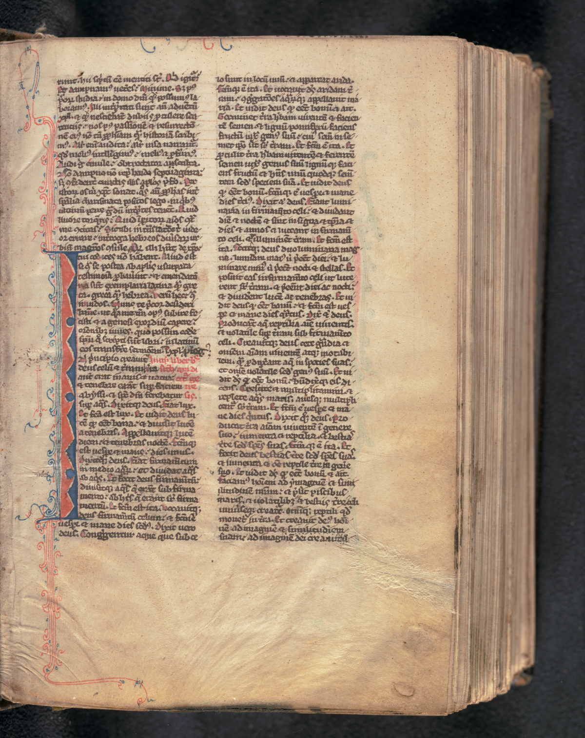 A richly decorated handwritten page from an old bible. It is written in Latin. The text is in black ink. In the margins of the page are blue and red decorations