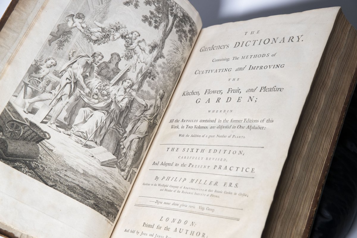 An old rare dictionary open to show, on the right, an illustration of an ancient Greek style festival, on the left is lots of text. 