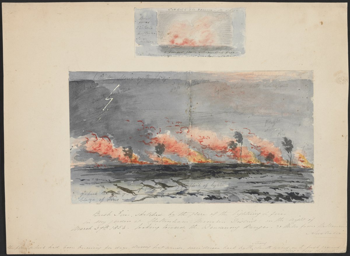 A watercolour painting of several pockets of bushfires being blown by the wind with several kangaroos trying to escape them.