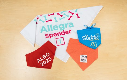 Small pieces of cloth in different colours are printed with political messaging