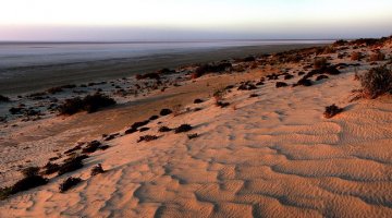 photograph of sand dunes at Lake Eyre