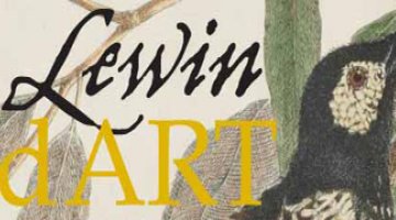 Lewin: Wild Art banner