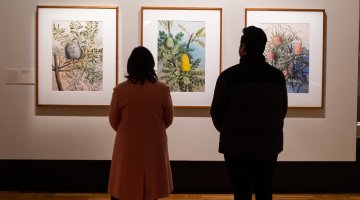 The backs of two people standing looking at 3 framed floral images on a wall.