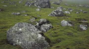 Many grey boulders scattered on a mossy-looking ground cover.
