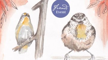 Watercolour image of two pardalotes