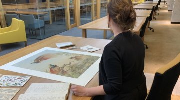 A National Library Fellow seated in the Special Collections Reading Room looking at collection material