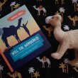 A hardcover book titled 'Will the Wonderkid' next to a soft camel toy