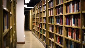 Tall bookshelves line the walls of a long corridor