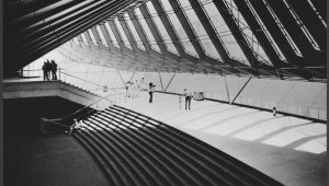 A black and white photograph of the interior of the Sydney Opera House. The windows give an effect of being in a large rib cage. There is a large sweeping staircase taking up most of the image