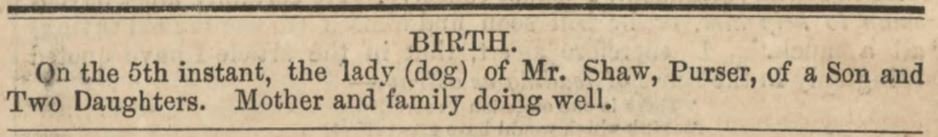 Birth notice of a dog on board the Mercury
